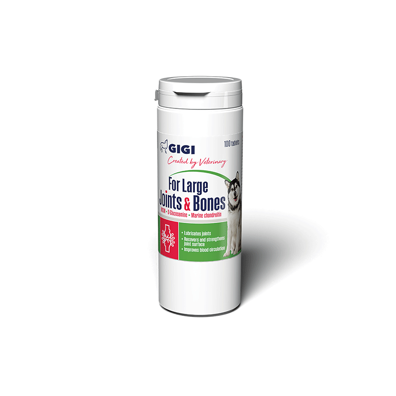 GIGI-Large-Joints-Bones-papildai-sunims-100-tabl