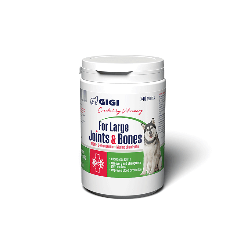 GIGI-Large-Joints-Bones-papildai-sunims-230-tabl
