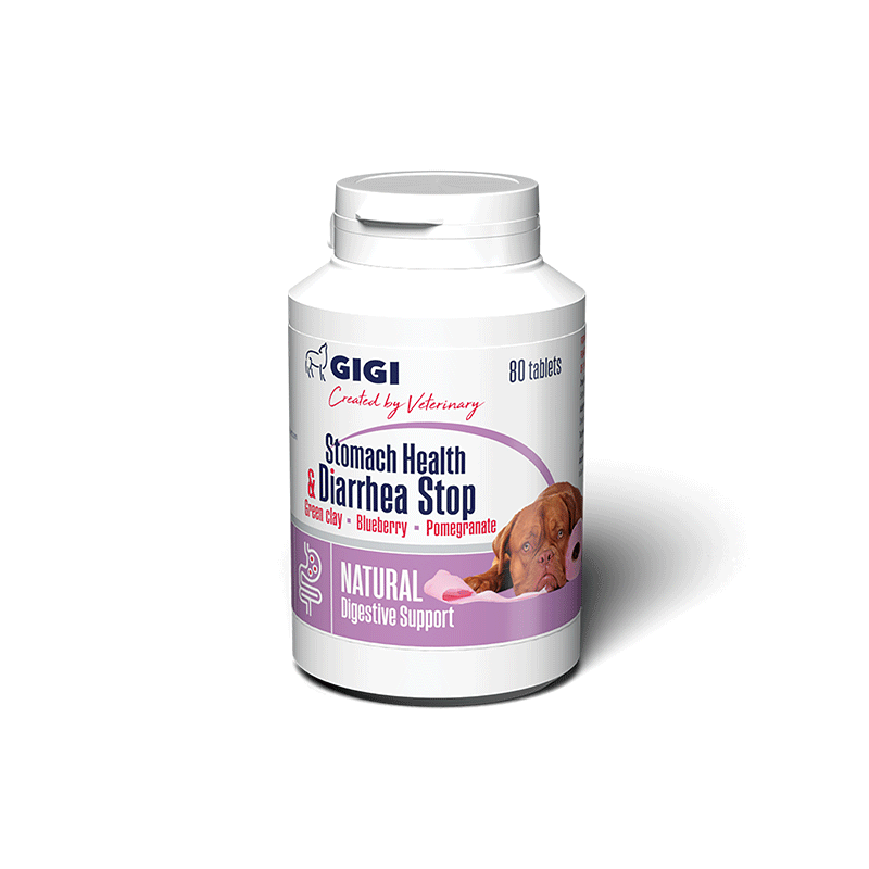GIGI-Stomach-Health-Diarrhea-Stop-papildai-sunims-80-tabl