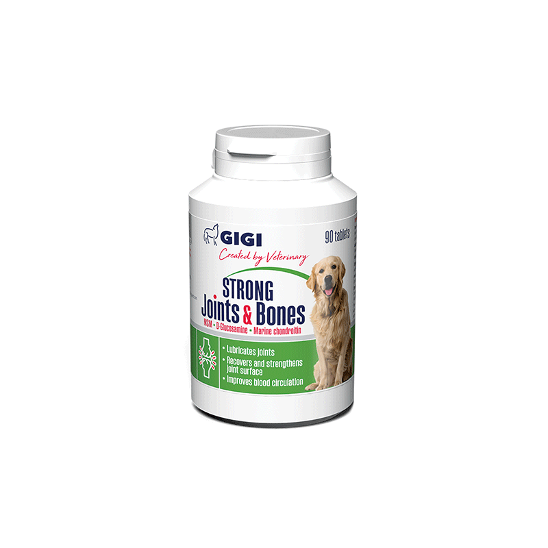 GIGI-Strong-Joints-Bones-papildai-sunims-90-tabl
