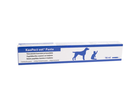 KaoPect vet pasta sunims ir katems sutrikus virskinimo trakto veiklai ml