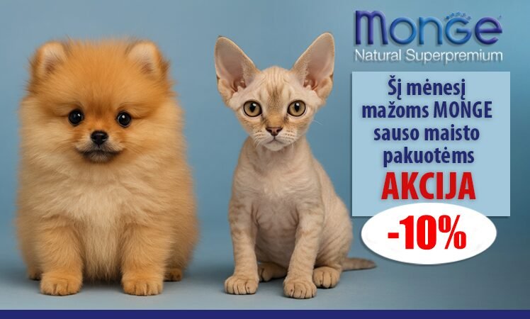 MONGE_10_proc__nuolaida___768__450