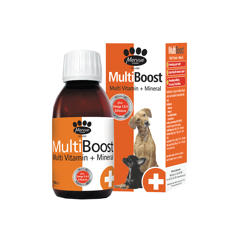 Mervue-MultiBoost-multivitaminai-sunims-150-ml