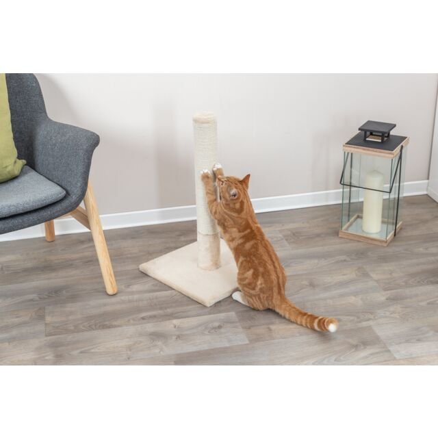 PHO_PRO_CAT_43360-2_SALL_AWK_V1