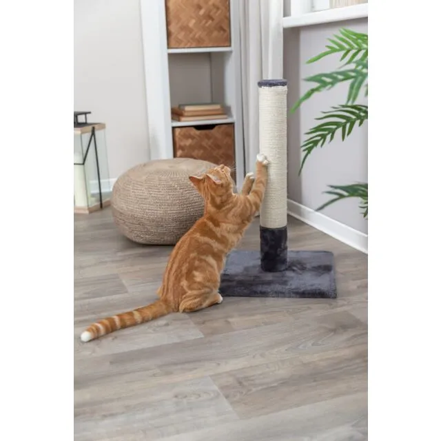PHO_PRO_CAT_43361-2_SALL_AWK_V1