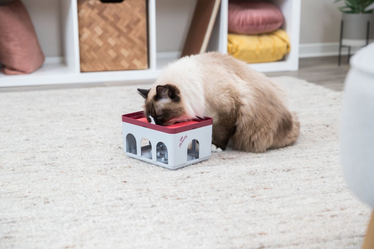 PHO_PRO_CAT_45896-1_SALL_AWK_V1