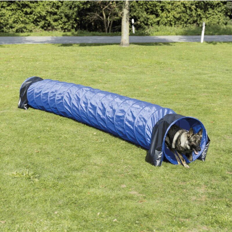 PHO_PRO_DOG_3211-4_SALL_AWK_V1-1