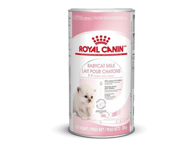 Royal-Canin-Babycat-Milk-pieno-pakaitalas-kaciukams-300-g