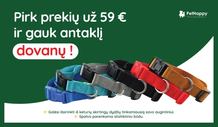 Tablet-baneris768x450px