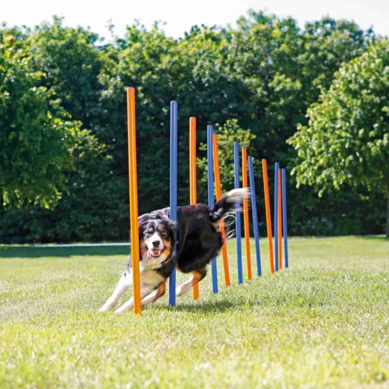 Trixie-Linksmas-Agility-Slalomas-3x115-cm