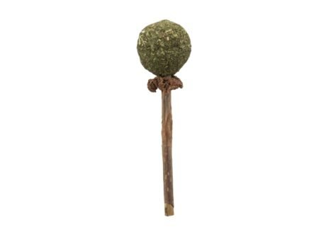 Trixie-Matatabi-zaislas-katei-lazdele-su-katzoles-kamuoliuku-11-cm