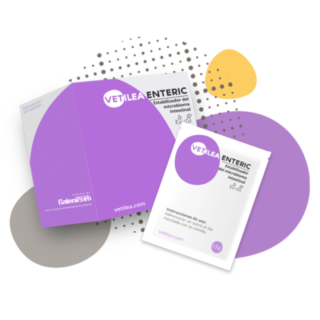 Vetilea Enteric Zarnyno mikrobioma stabilizuojantis papildomas pasaras pak