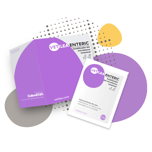 Vetilea Enteric Zarnyno mikrobioma stabilizuojantis papildomas pasaras pak
