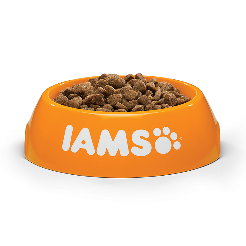 iams-adult-cat-eriena-10kg