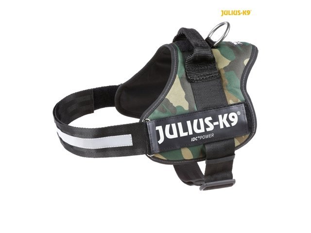 julius-k9