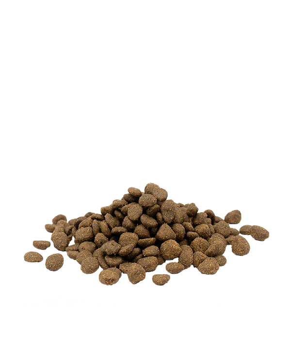 sensisii